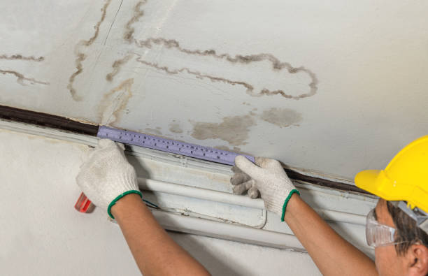 Reliable Water Damage contractor in Newburyport, MA by Water Damage Irwin